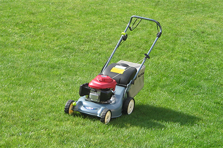 tondeuse de jardin